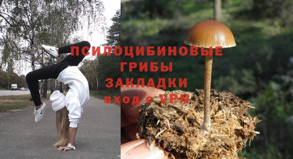 хмурый Дмитров