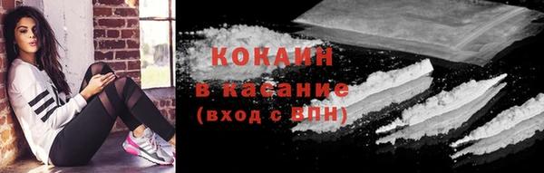 хмурый Дмитров