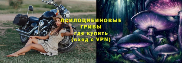 хмурый Дмитров