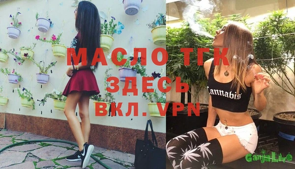 хмурый Дмитров